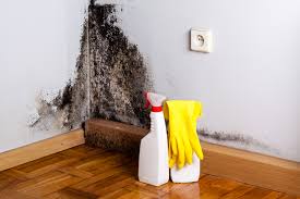 Best Mold Removal for HVAC Installations  in Fulshear, TX